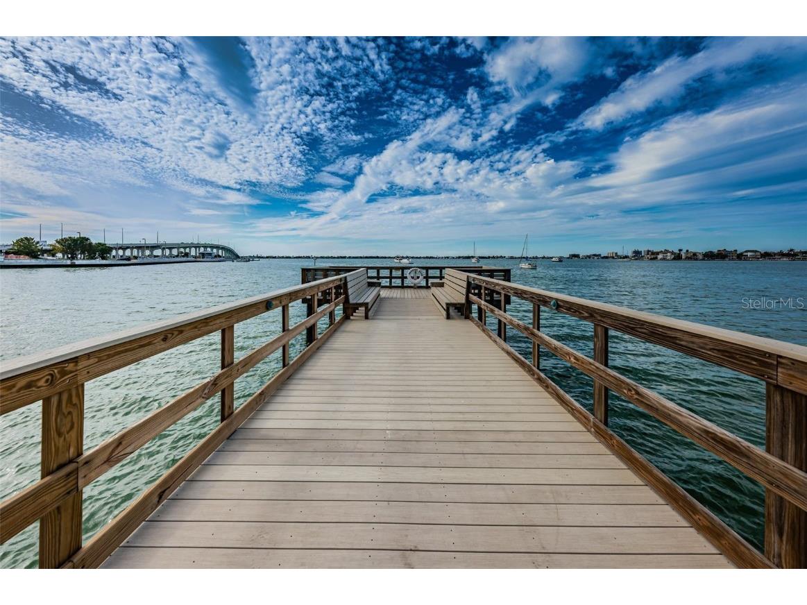 100 Bluff View Drive #608C Belleair Bluffs FL 33770 - CLEARWATER BAY TB8413949 image75