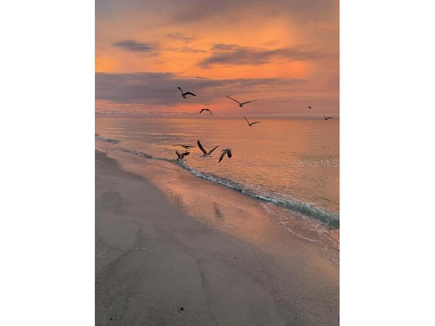 100 Bluff View Drive #608C Belleair Bluffs FL 33770 - CLEARWATER BAY TB8413949 image81