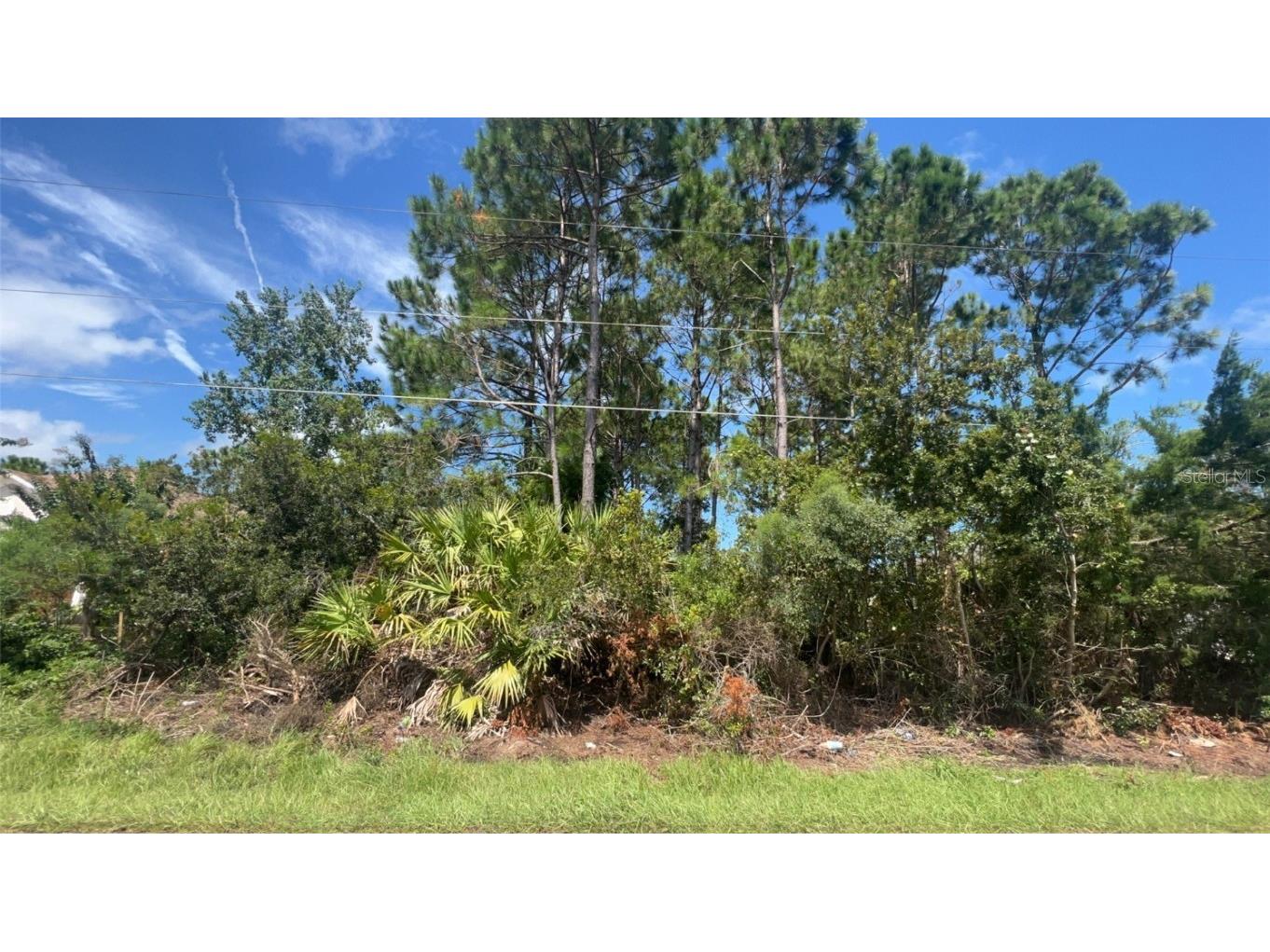 100 Bud Hollow Drive Palm Coast FL 32137 FC294652 image1