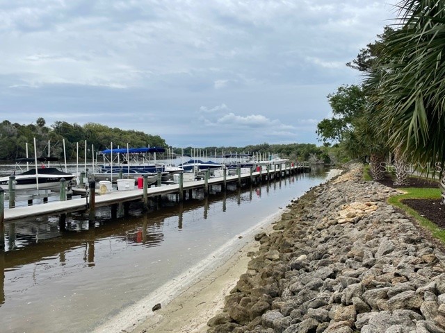 100 Canopy Walk Lane #124 Palm Coast FL 32137 FC315516 image46