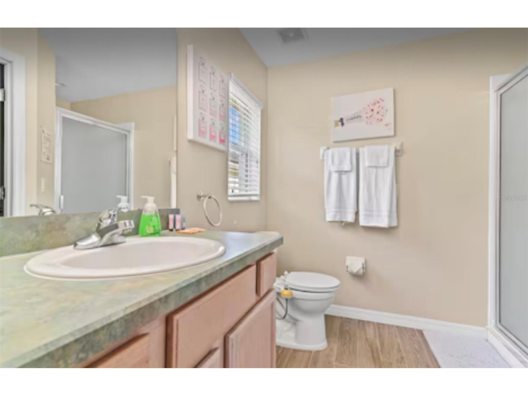 100 Cardinal Court Davenport FL 33896 S5140647 image26