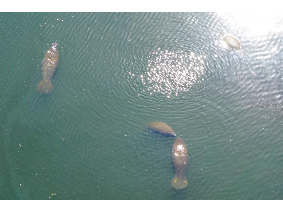 100 Catalan Boulevard NE Saint Petersburg FL 33704 TB8450290 image29