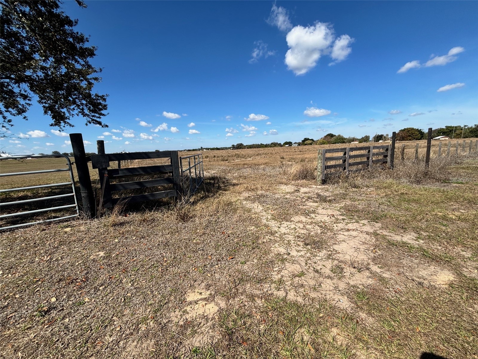100 Cloverleaf Road Lake Placid FL 33852 - LAKE FRANCIS L4959719 image28
