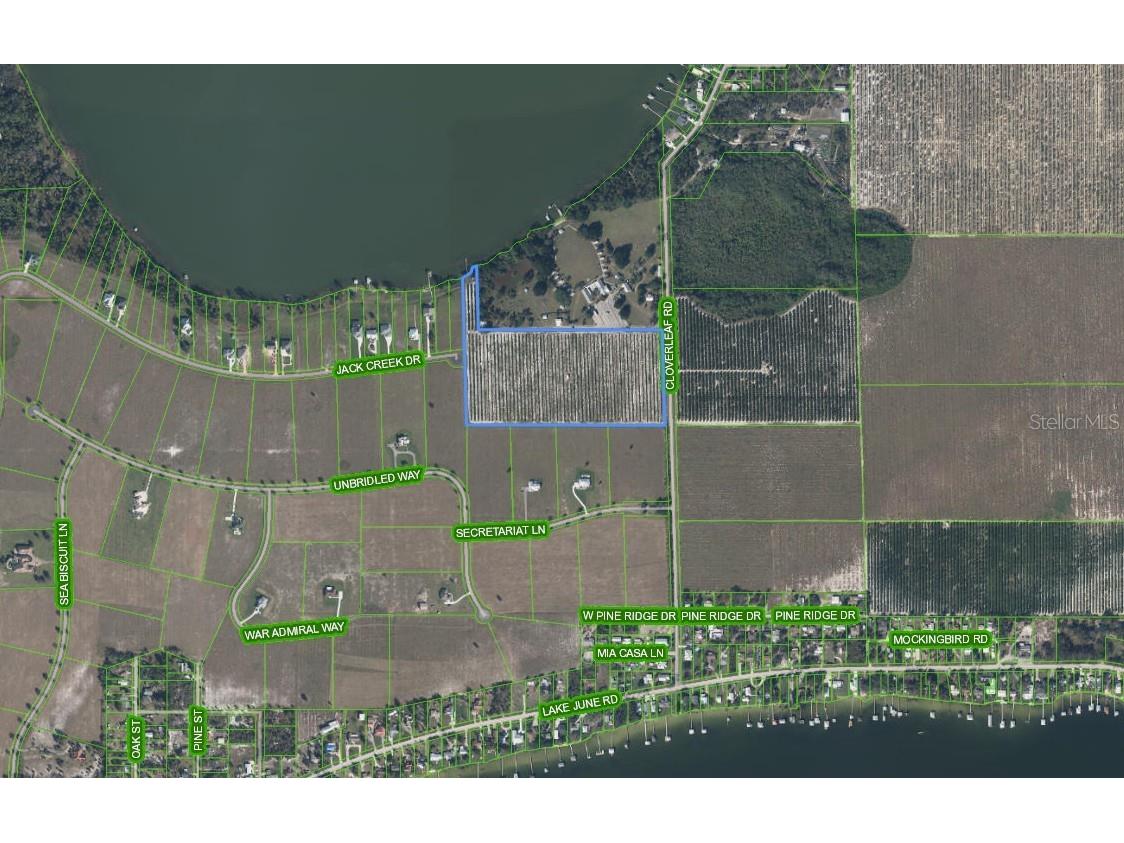 100 Cloverleaf Road Lake Placid FL 33852 - LAKE FRANCIS L4959719 image7