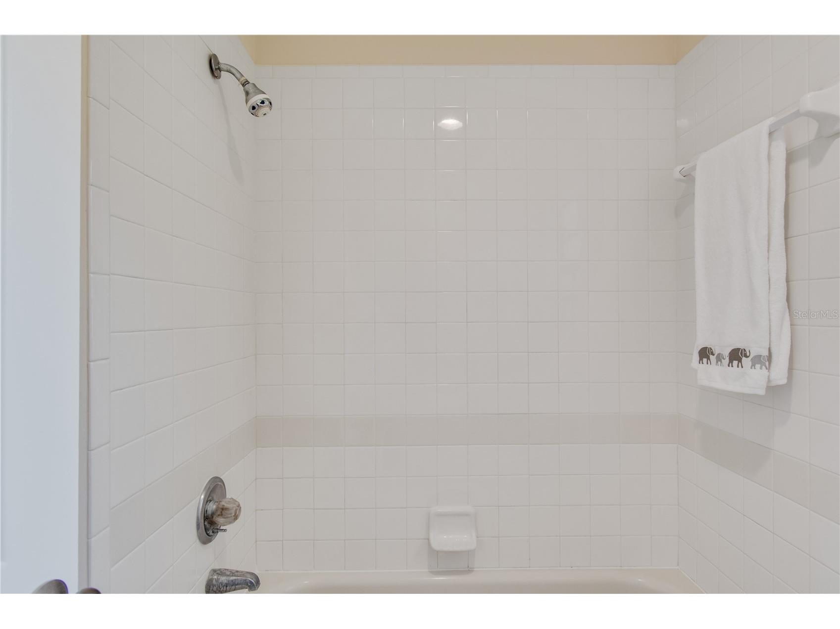 100 Coral Reef Court N #B Palm Coast FL 32137 FC319659 image16