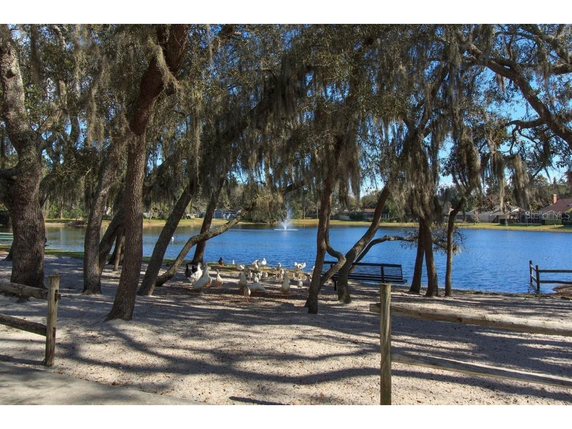 100 Durham Place Longwood FL 32779 O6346300 image44