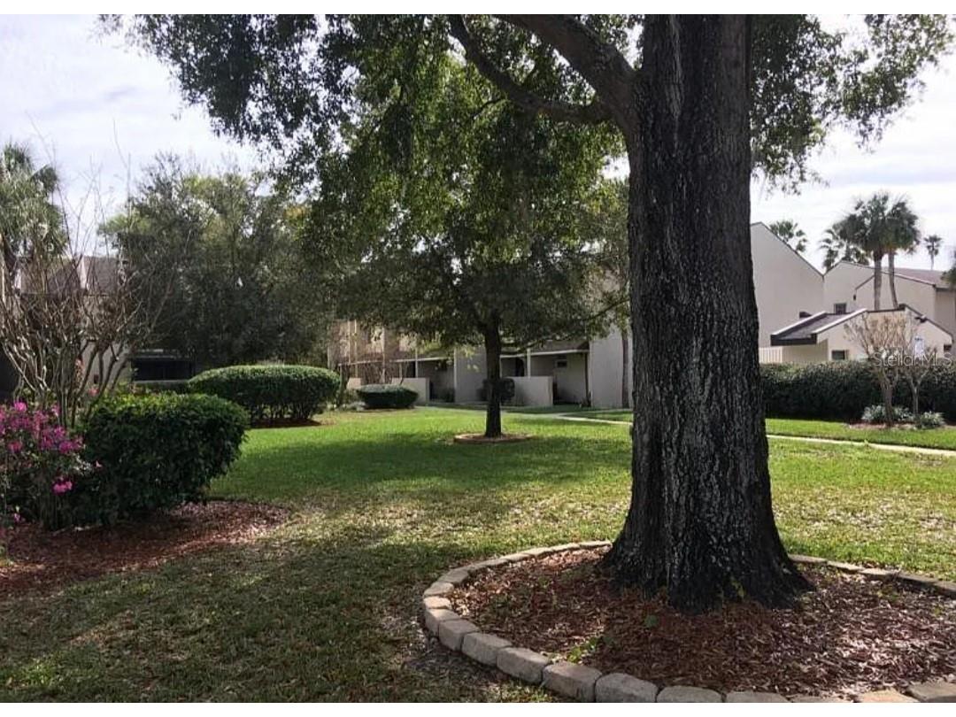 100 E Kentucky Ave #103D Deland FL 32724 V4950084 image29