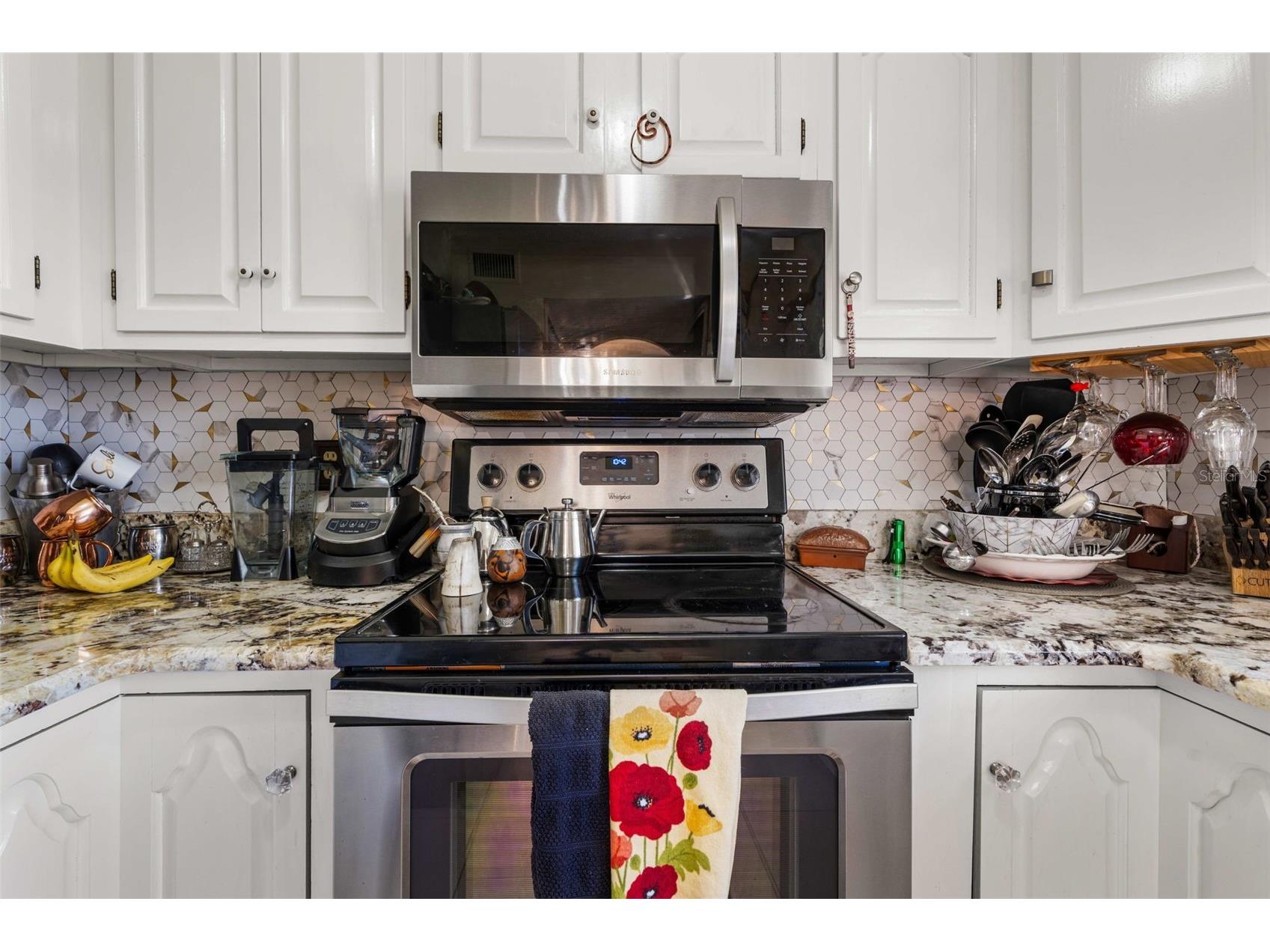 100 E Oak Terrace Drive #C1 Leesburg FL 34748 O6414506 image11