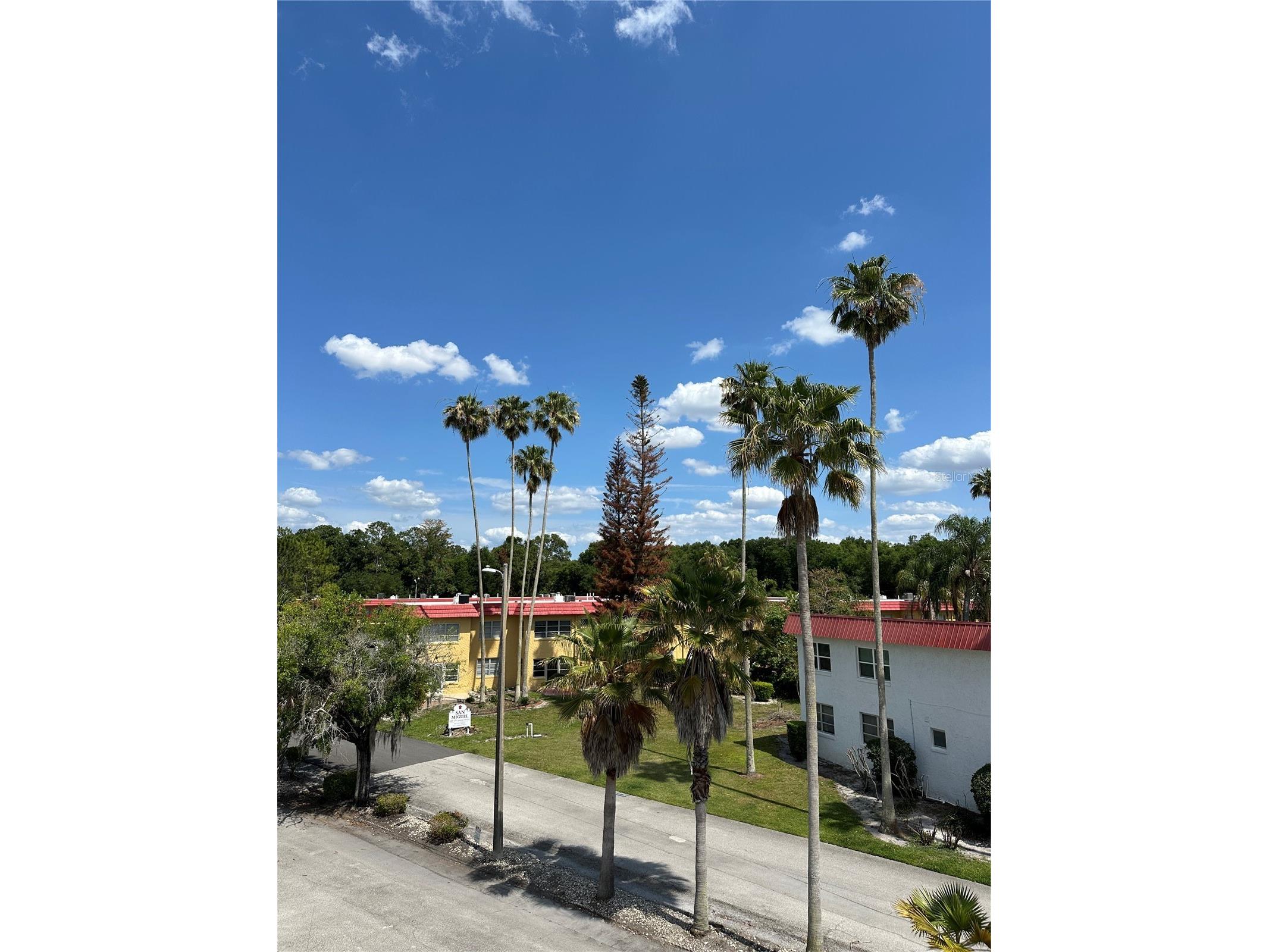100 El Camino Drive #309 Winter Haven FL 33884 P4938609 image25