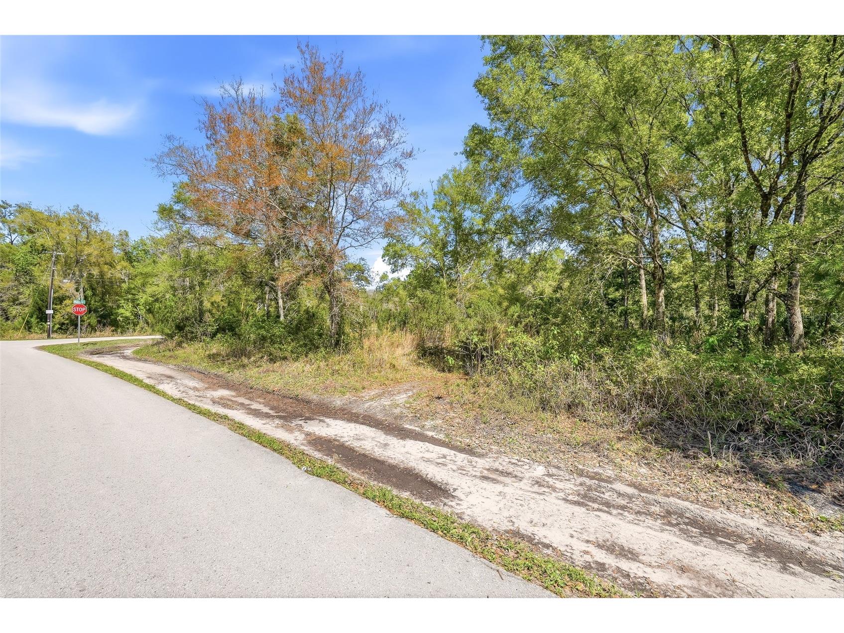 100 Fern Street New Port Richey FL 34654 W7883982 image10