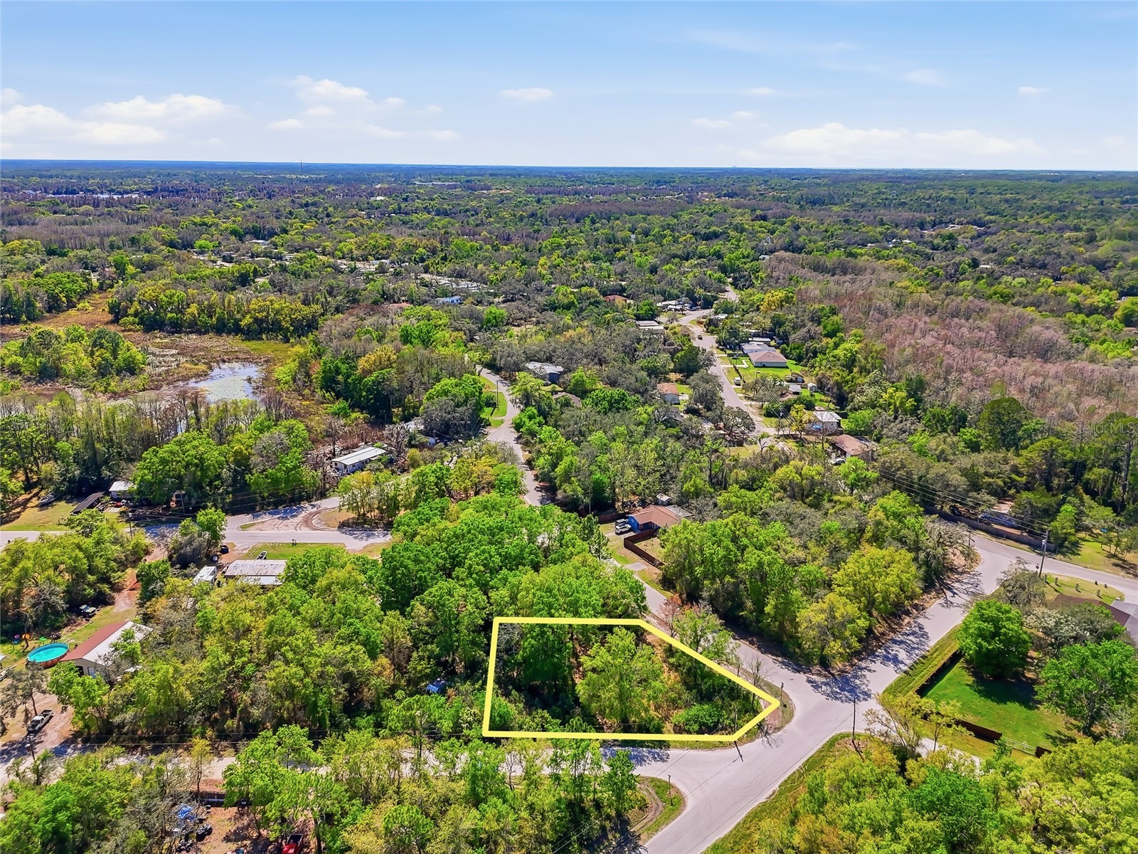 100 Fern Street New Port Richey FL 34654 W7883982 image13