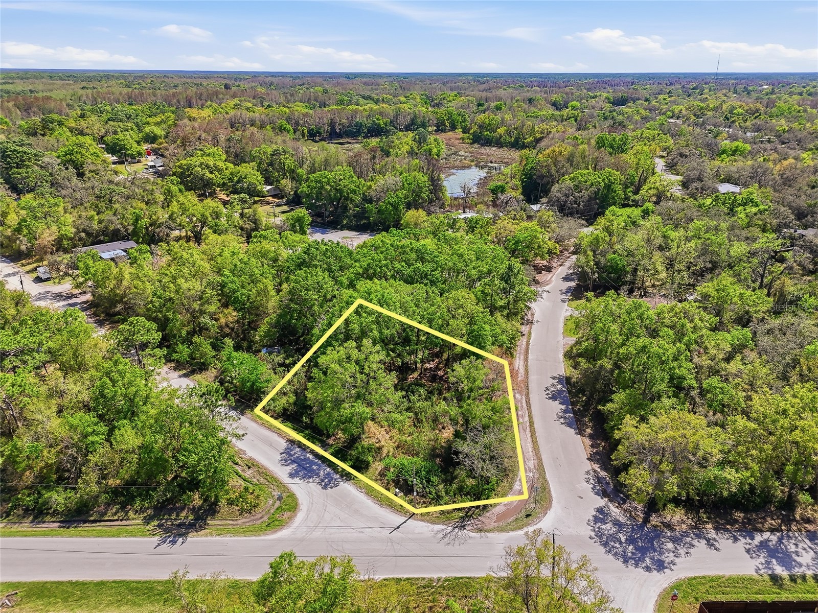 100 Fern Street New Port Richey FL 34654 W7883982 image15