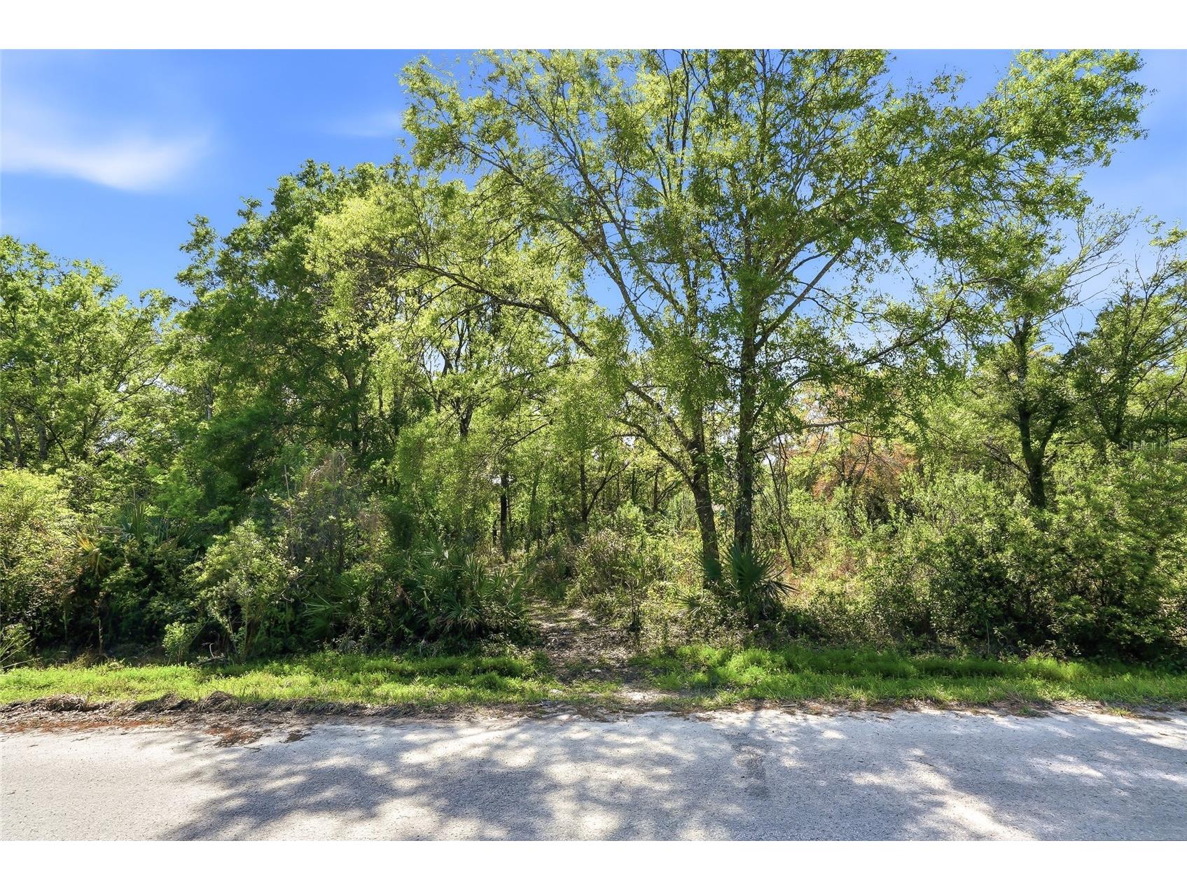 100 Fern Street New Port Richey FL 34654 W7883982 image2