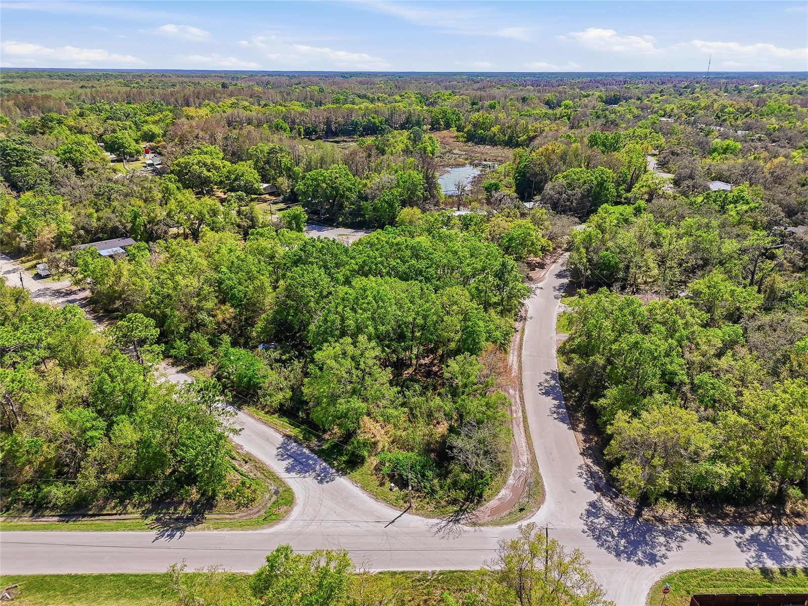 100 Fern Street New Port Richey FL 34654 W7883982 image20