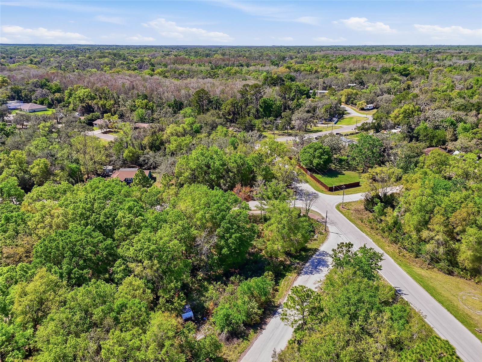 100 Fern Street New Port Richey FL 34654 W7883982 image22