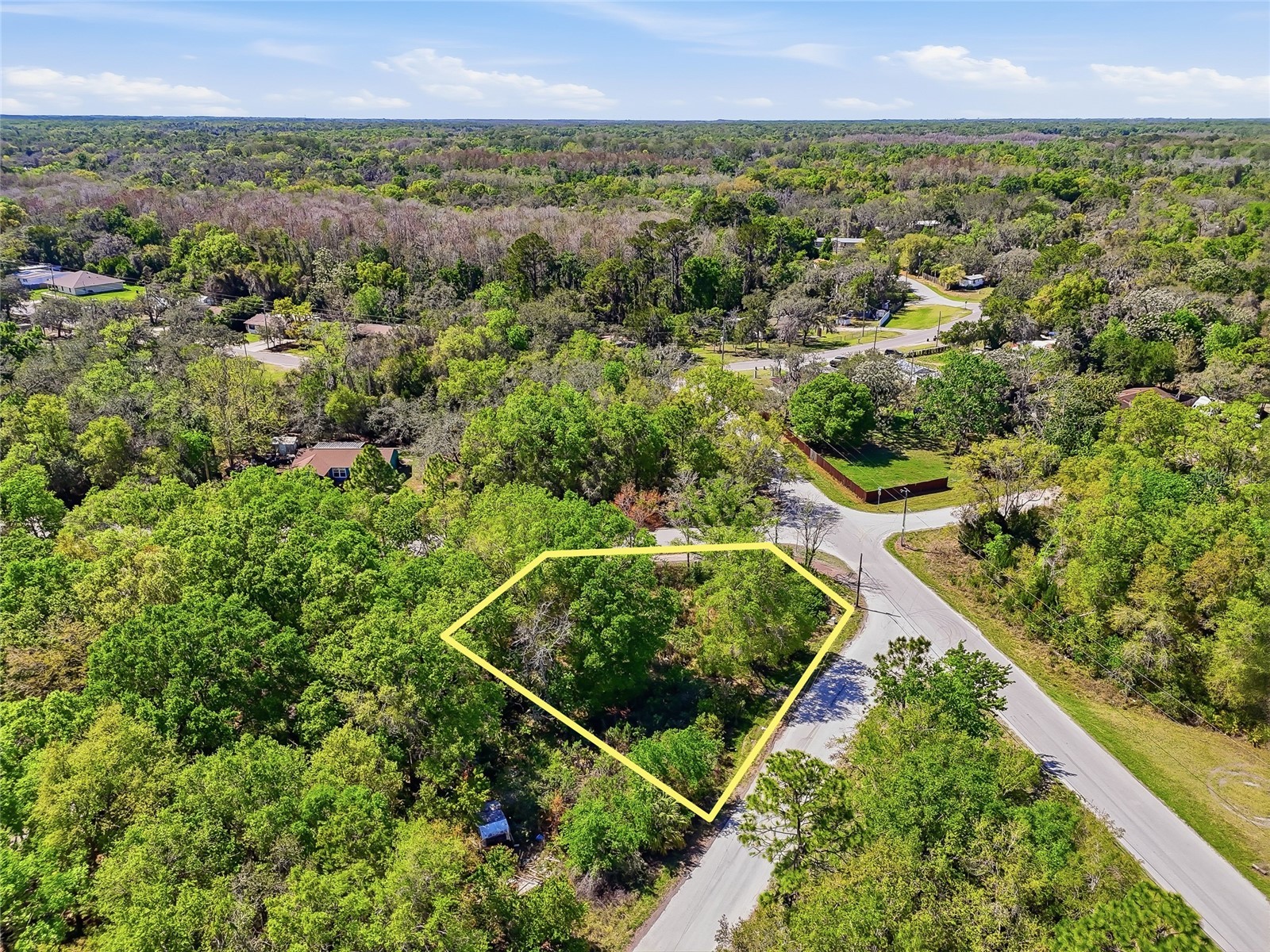 100 Fern Street New Port Richey FL 34654 W7883982 image23