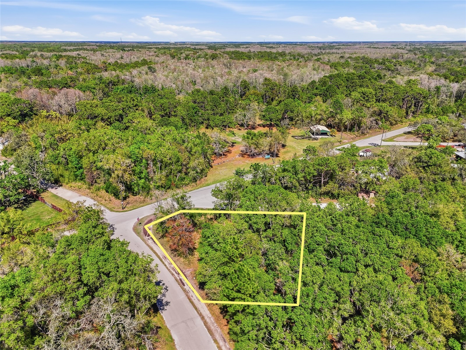 100 Fern Street New Port Richey FL 34654 W7883982 image25