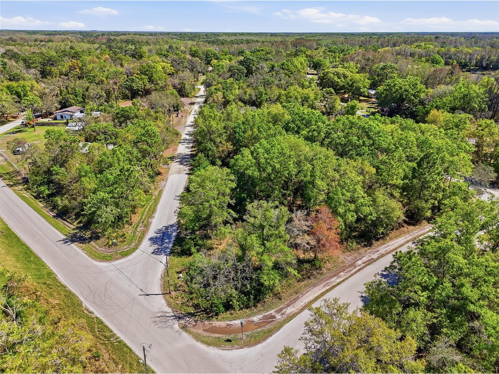 100 Fern Street New Port Richey FL 34654 W7883982 image27