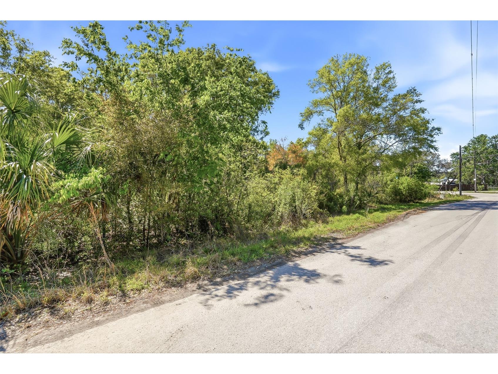 100 Fern Street New Port Richey FL 34654 W7883982 image3