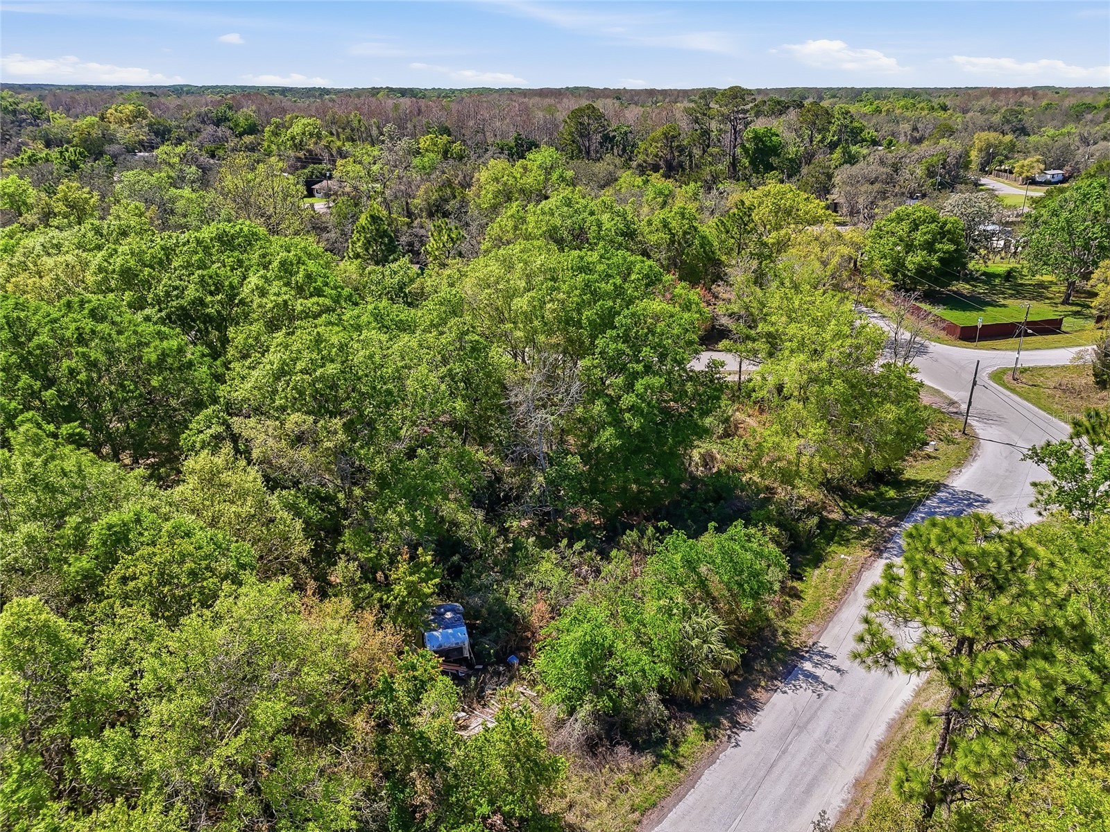 100 Fern Street New Port Richey FL 34654 W7883982 image31