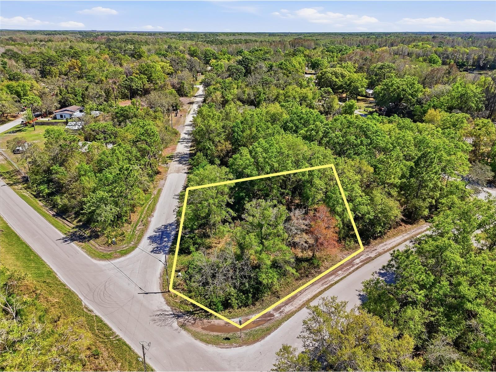 100 Fern Street New Port Richey FL 34654 W7883982 image32