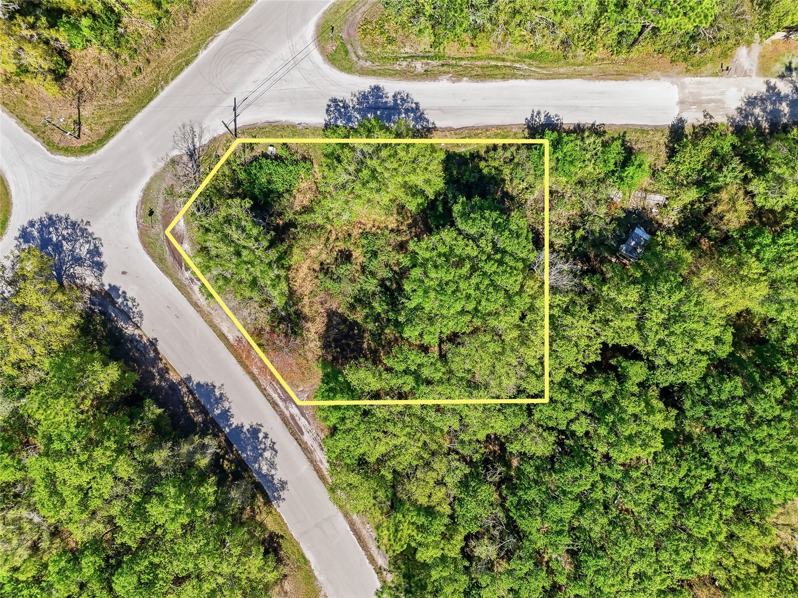 100 Fern Street New Port Richey FL 34654 W7883982 image5