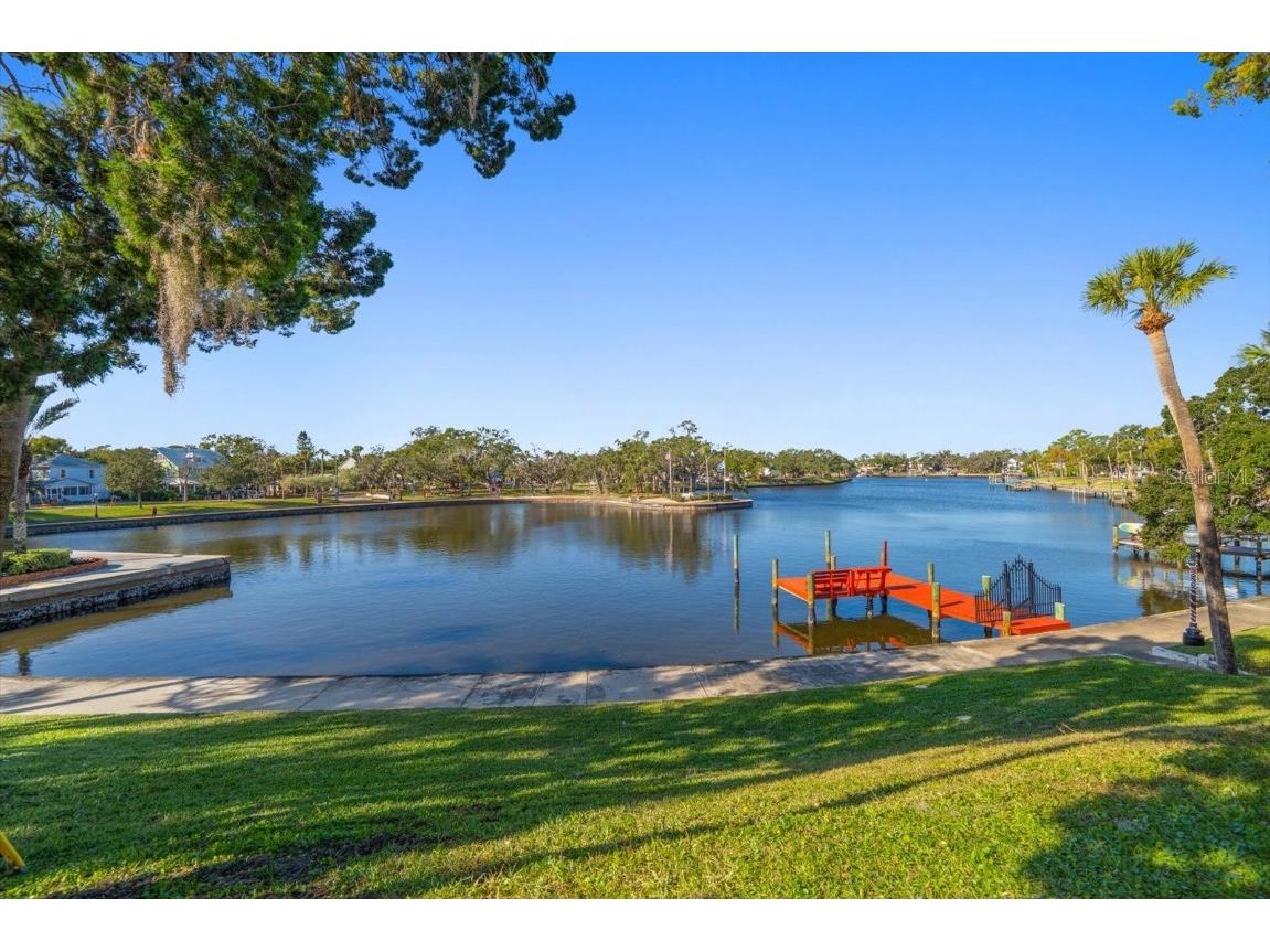 100 Grand Boulevard #205 Tarpon Springs FL 34689 TB8454951 image26