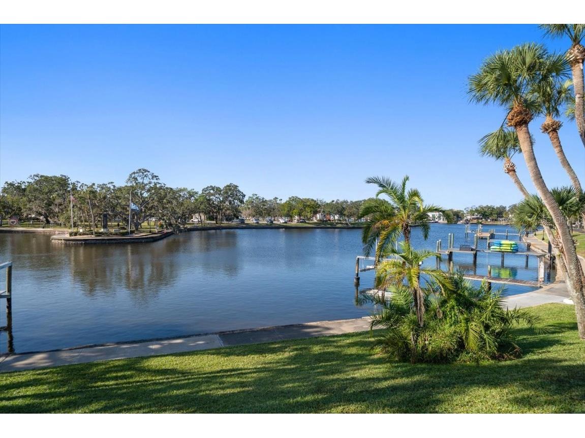 100 Grand Boulevard #205 Tarpon Springs FL 34689 TB8454951 image38