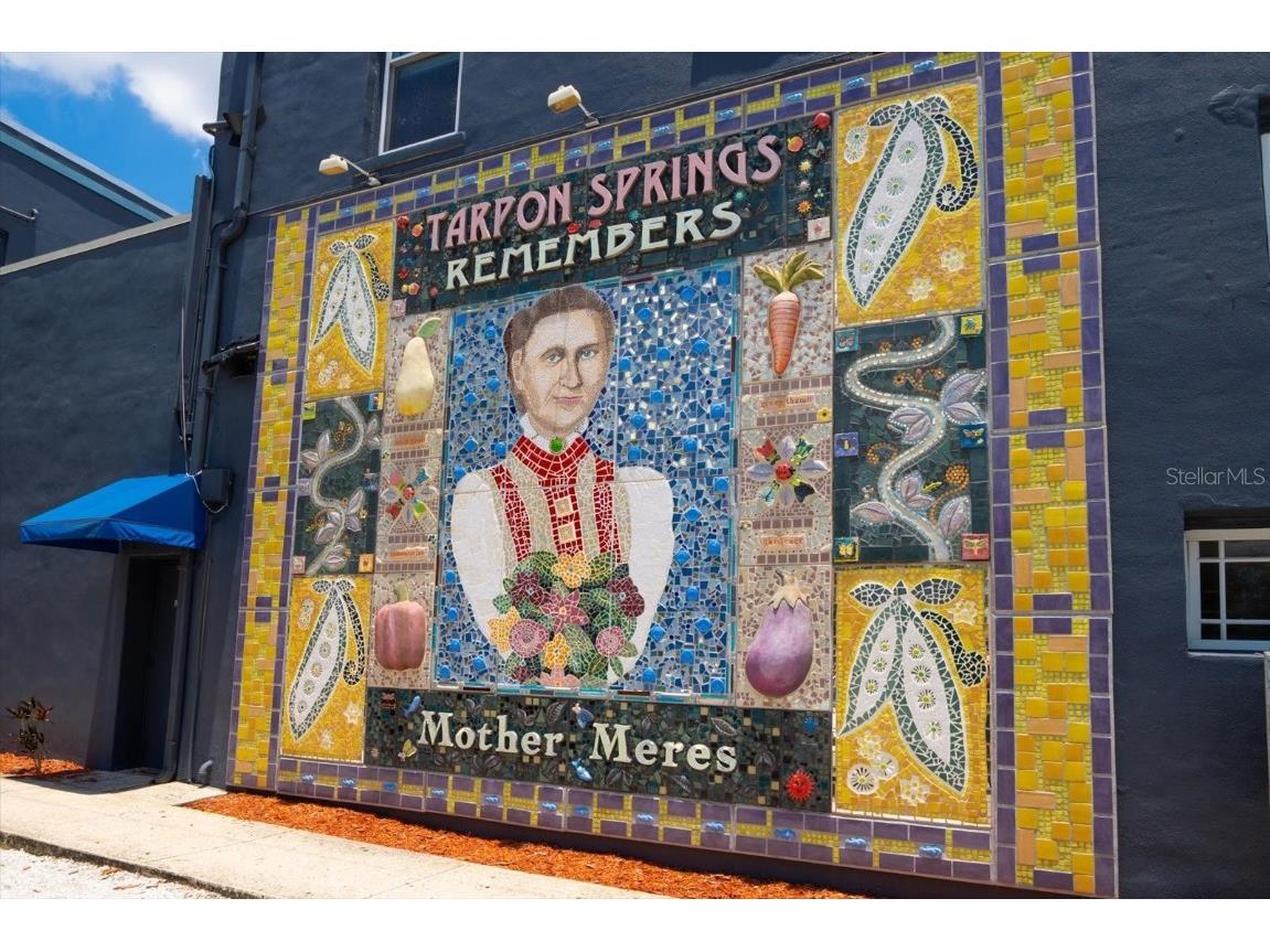 100 Grand Boulevard #205 Tarpon Springs FL 34689 TB8454951 image45