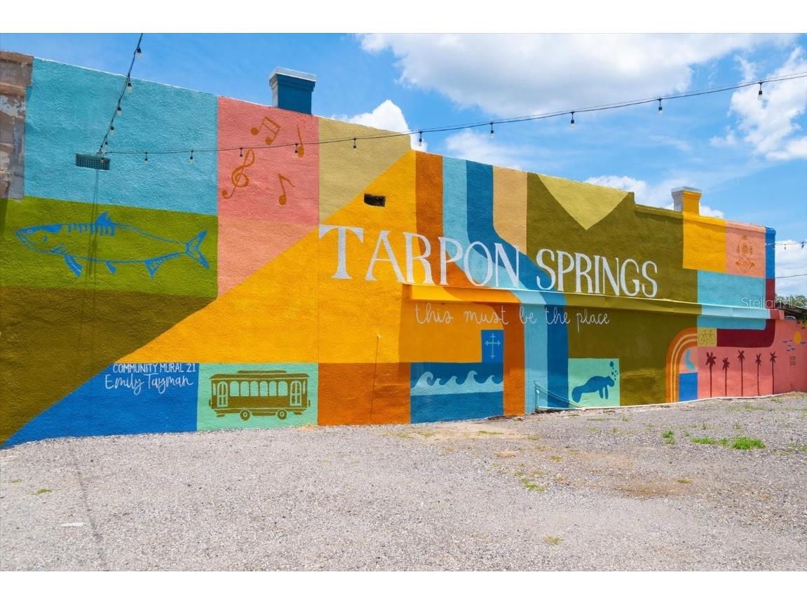 100 Grand Boulevard #205 Tarpon Springs FL 34689 TB8454951 image46