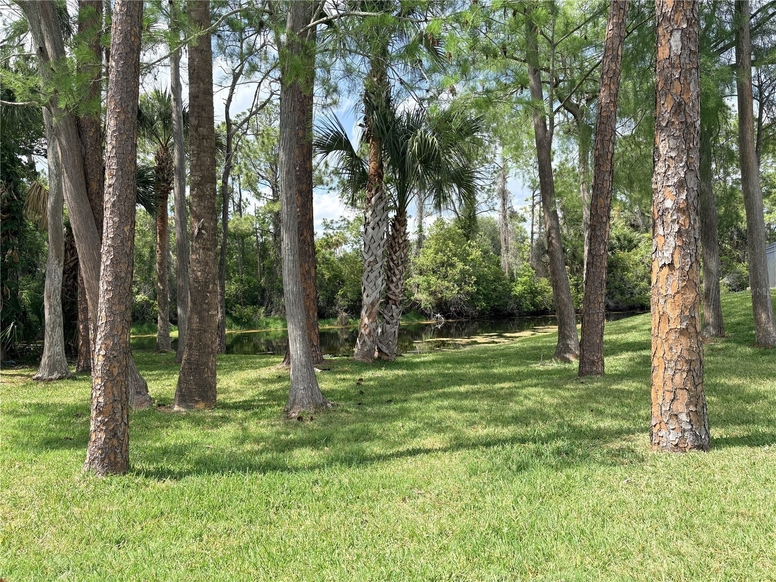 100 Kingbird Circle #1 Daytona Beach FL 32119 V4948914 image38