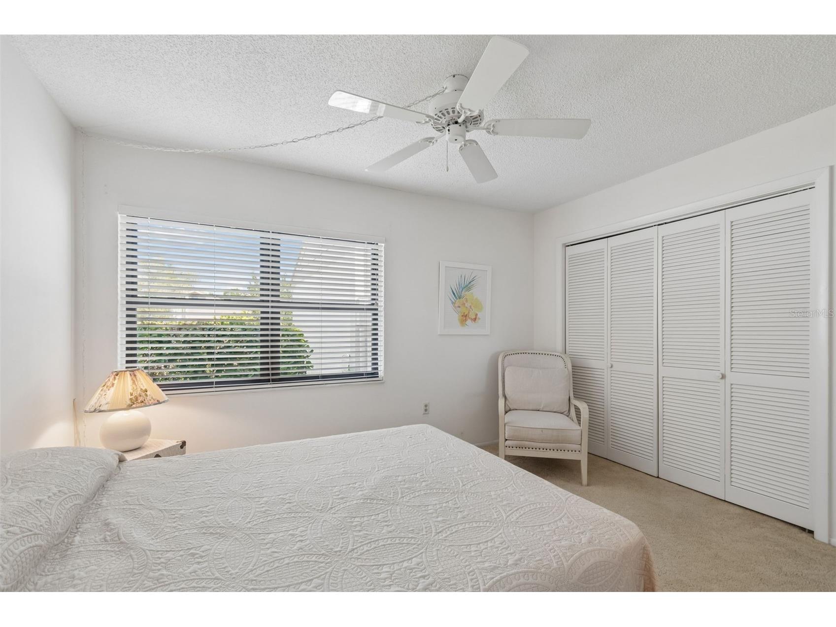 100 Lisa Lane Oldsmar FL 34677 TB8526300 image34