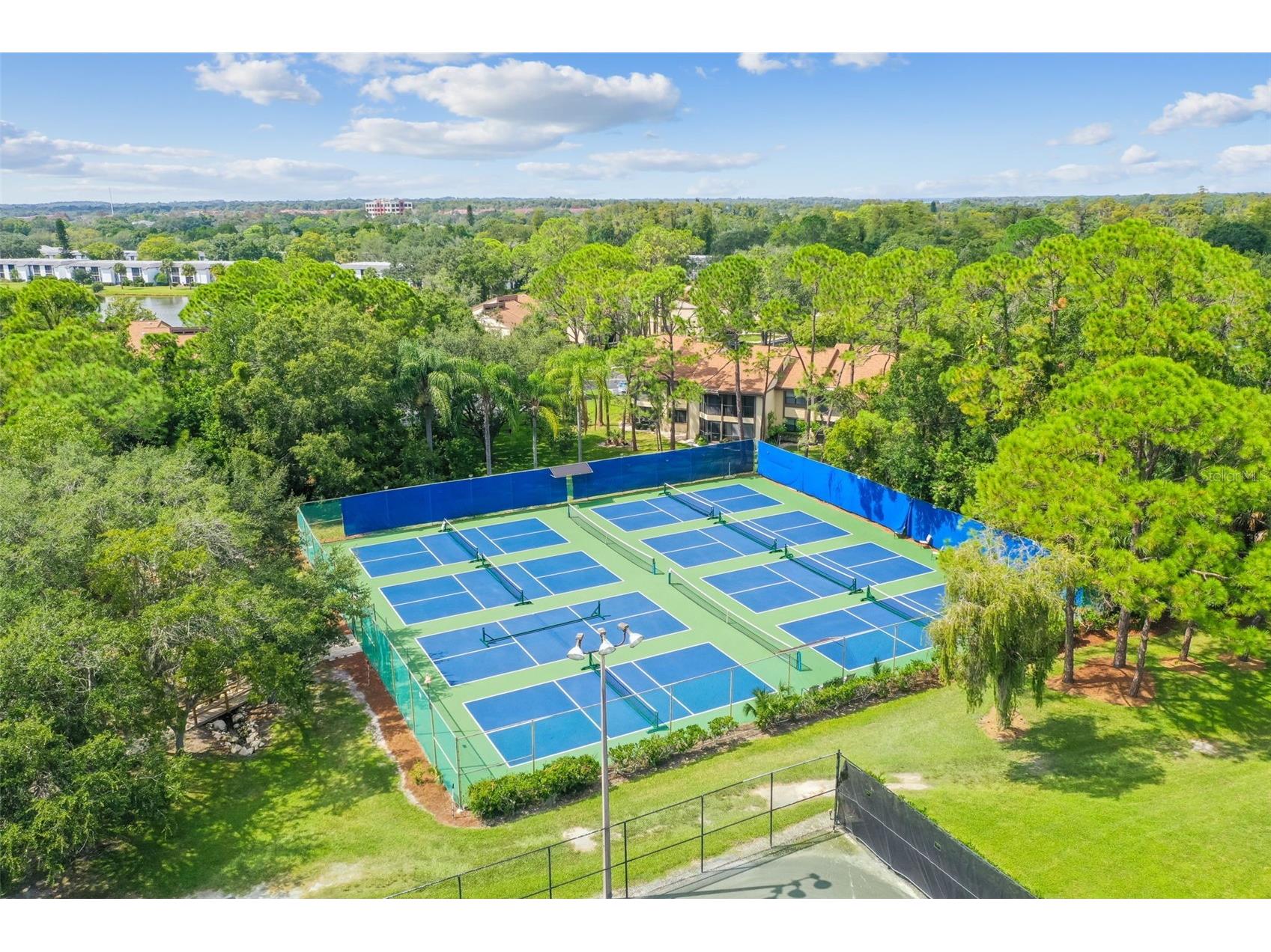 100 Lisa Lane Oldsmar FL 34677 TB8526300 image59