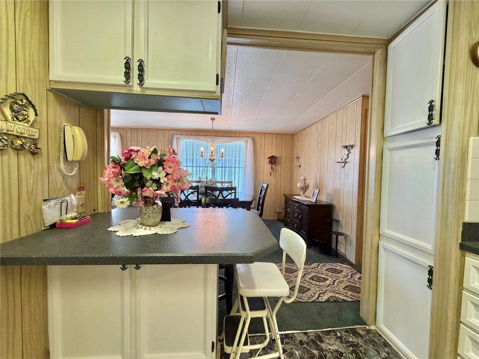 100 Marigold Street Leesburg FL 34748 G5111974 image30