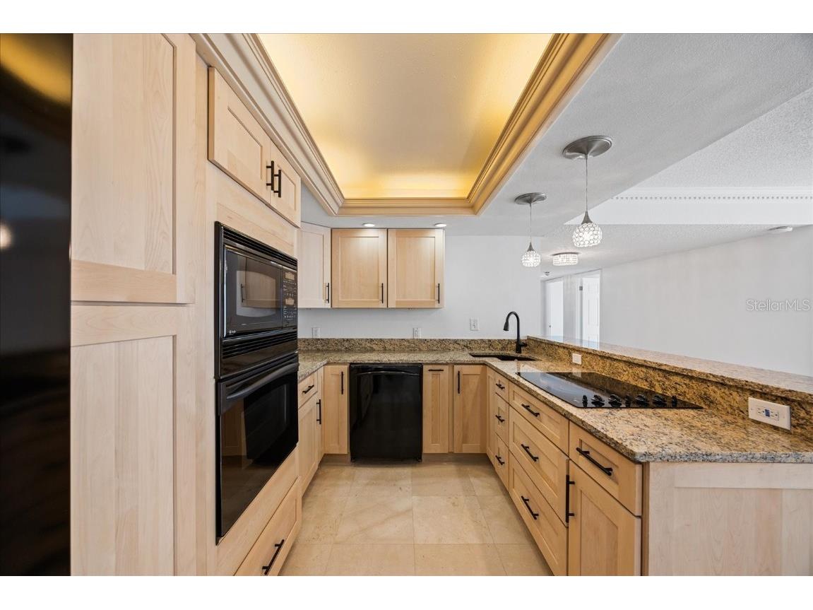 100 Oakmont Lane #101 Belleair FL 33756 TB8448707 image12