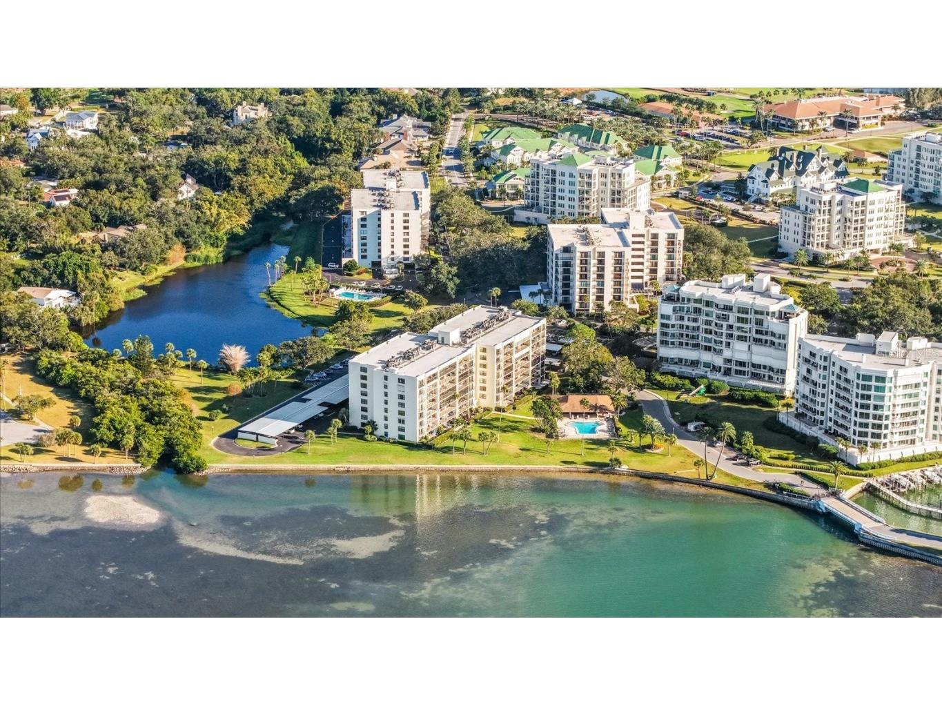 100 Oakmont Lane #101 Belleair FL 33756 TB8448707 image46