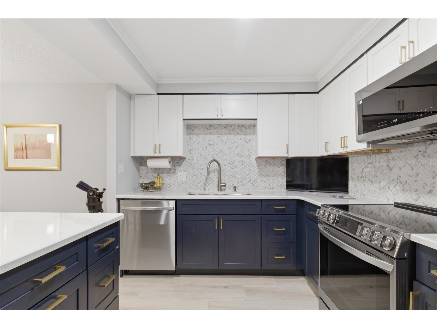 100 Oakmont Lane #102 Belleair FL 33756 TB8483007 image14