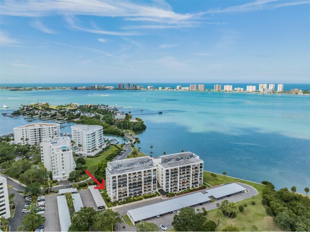 100 Oakmont Lane #103 Belleair FL 33756 T3437969 image1