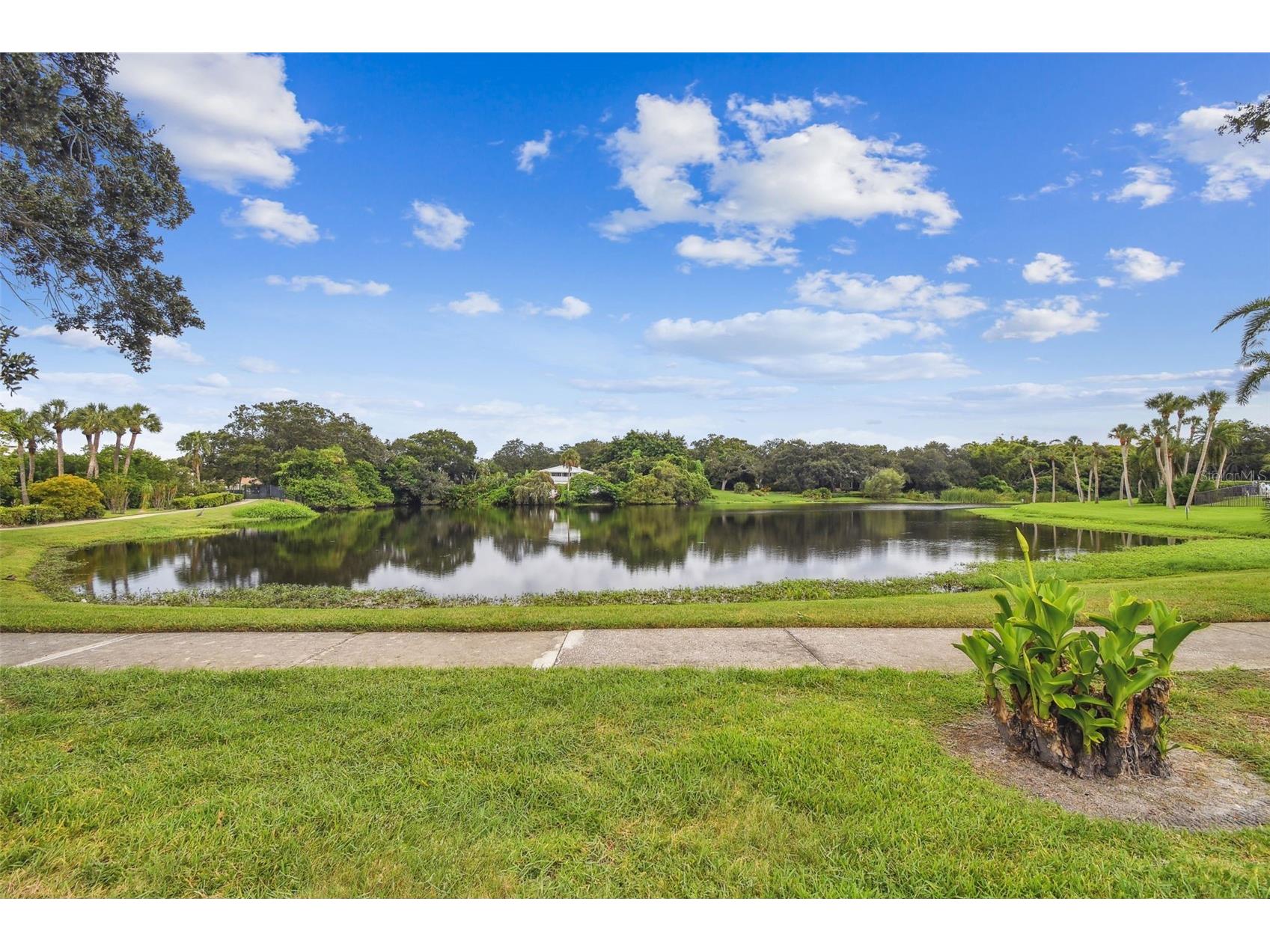 100 Oakmont Lane #106 Belleair FL 33756 TB8478782 image52