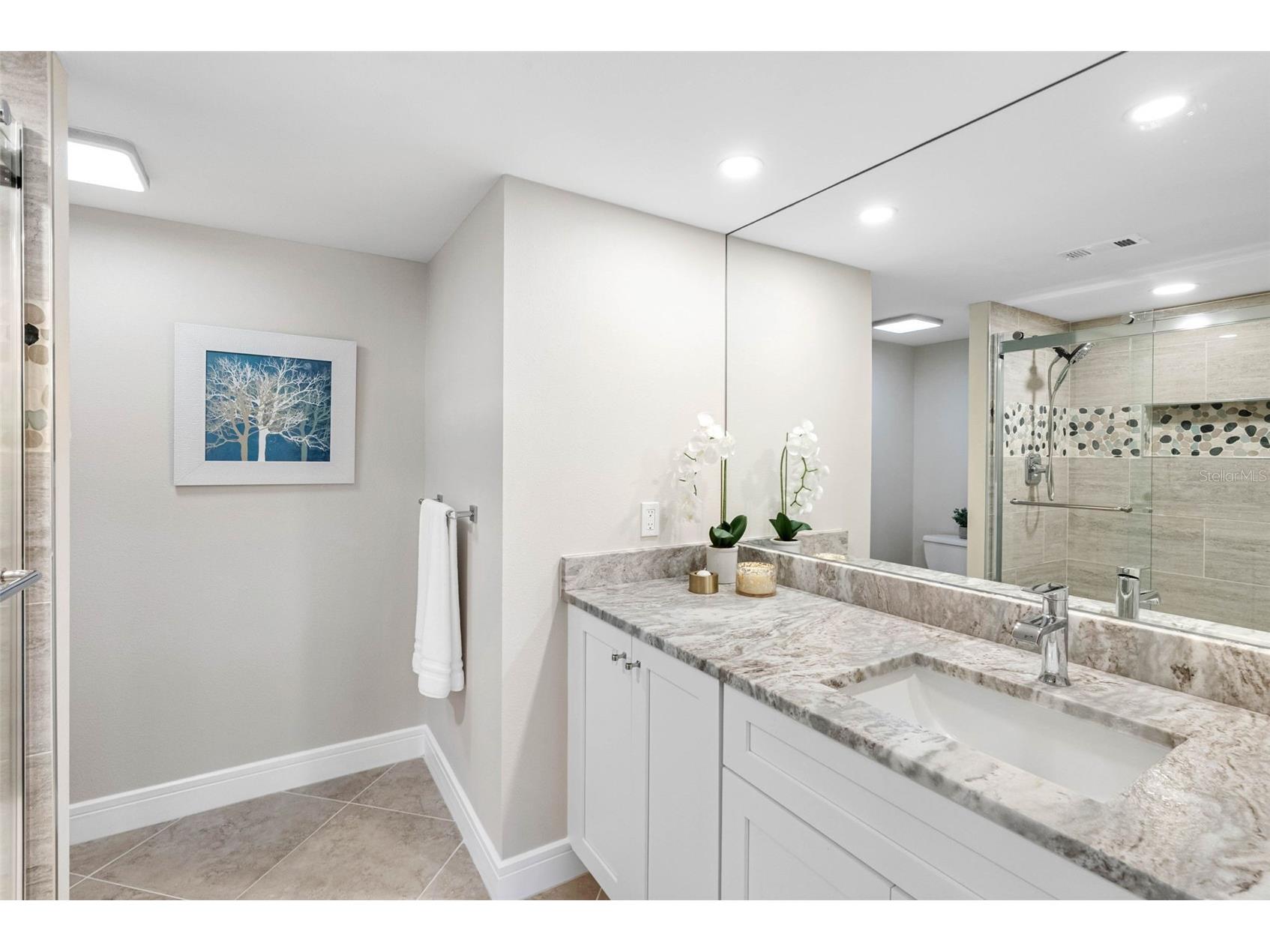100 Oakmont Lane #203 Belleair FL 33756 - INTRACOASTAL TB8497598 image14
