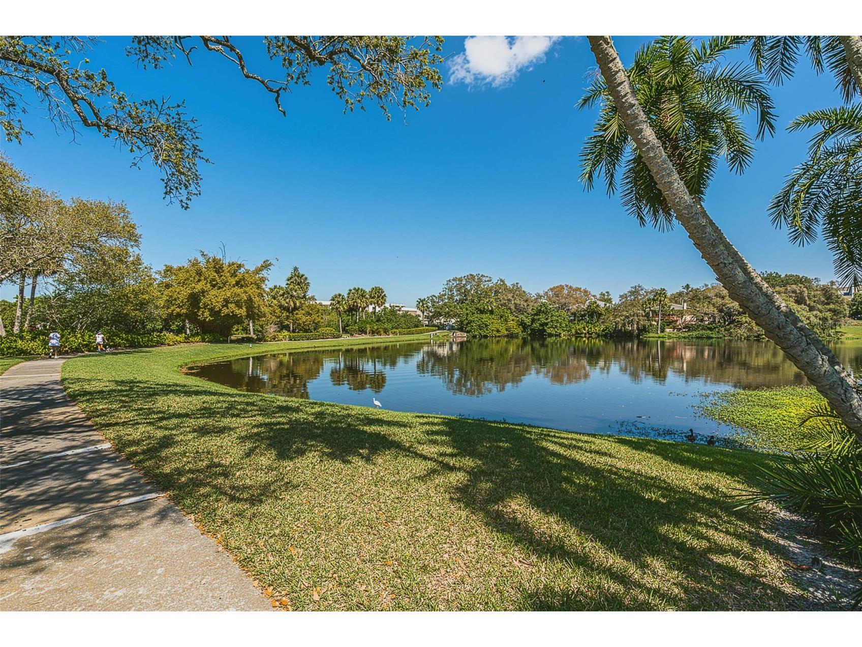 100 Oakmont Lane #203 Belleair FL 33756 - INTRACOASTAL TB8497598 image40
