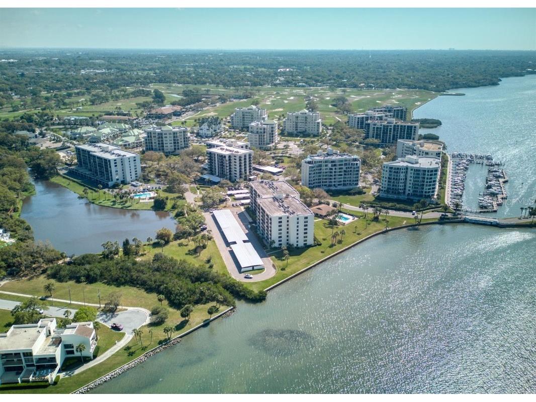 100 Oakmont Lane #204 Belleair FL 33756 - HAROLD'S LAKE U8192246 image1