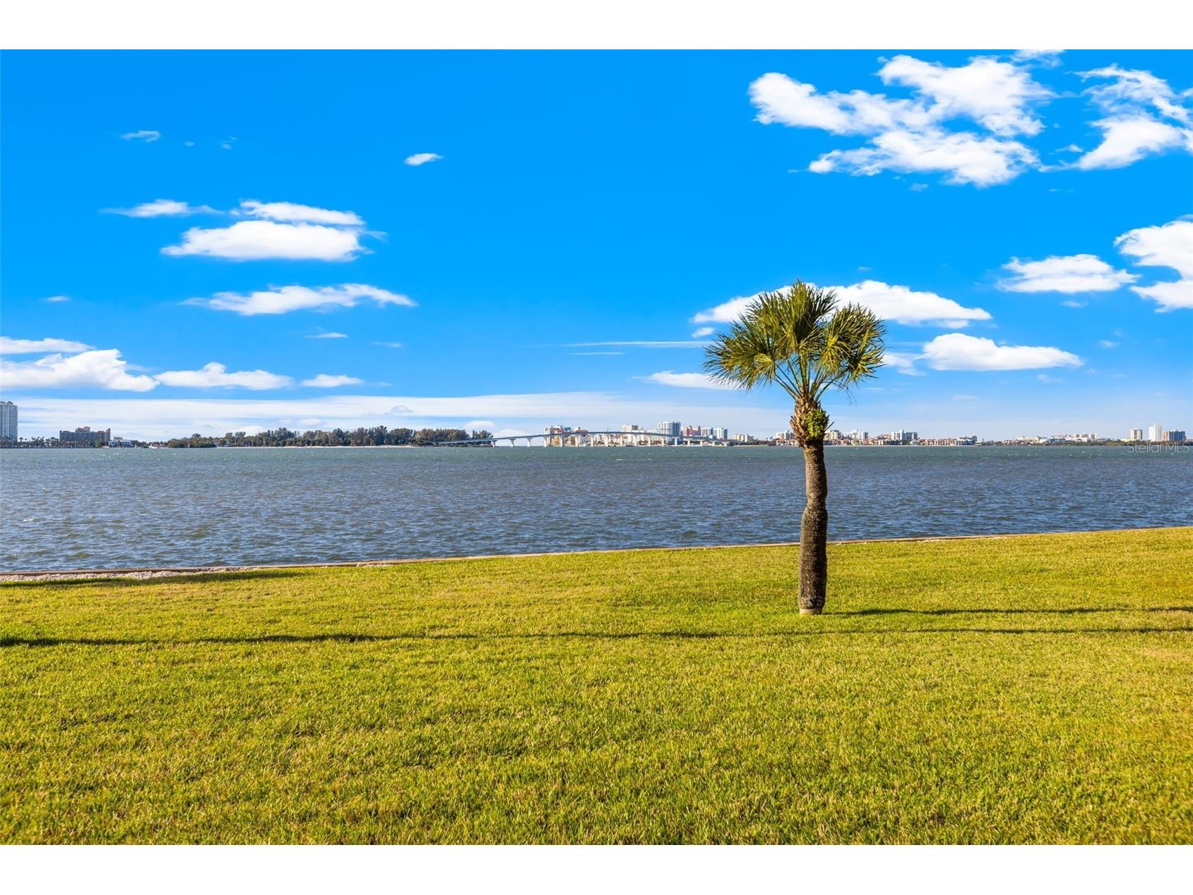 100 Oakmont Lane #204 Belleair FL 33756 - INTRACOASTAL WATERWAY TB8531664 image20