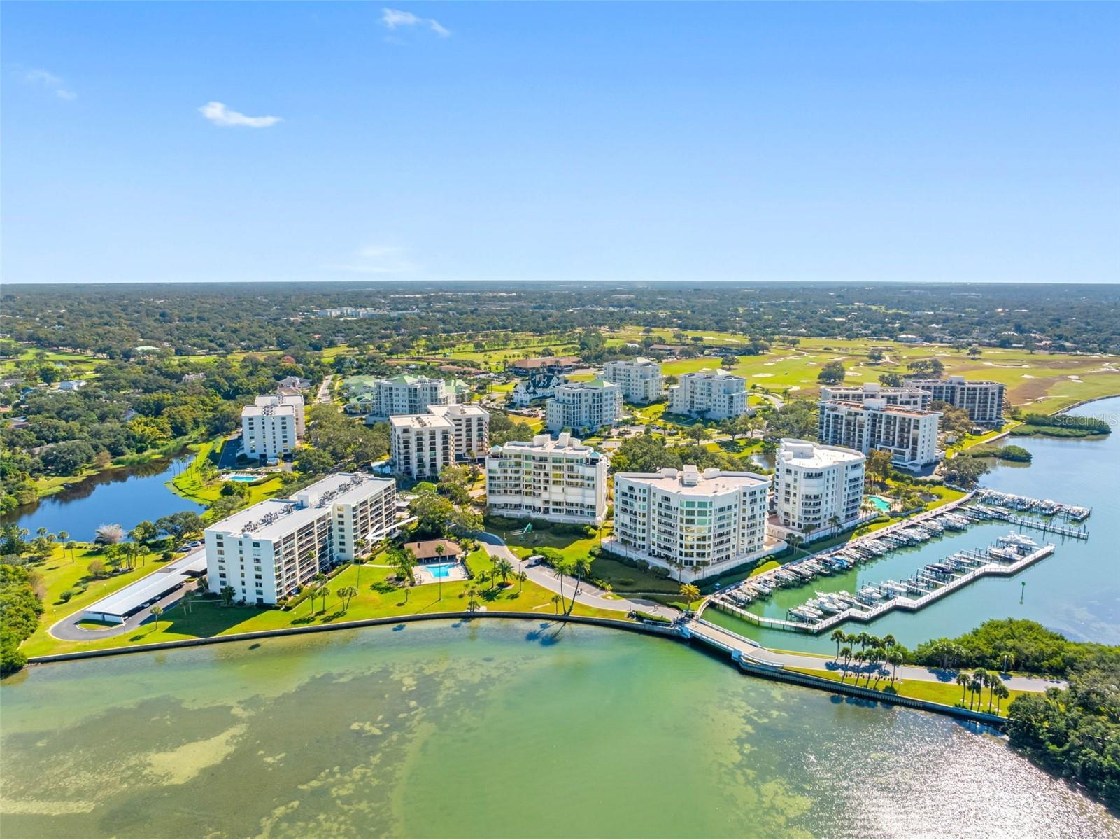 100 Oakmont Lane #301 Belleair FL 33756 - INTRACOASTAL TB8452325 image33