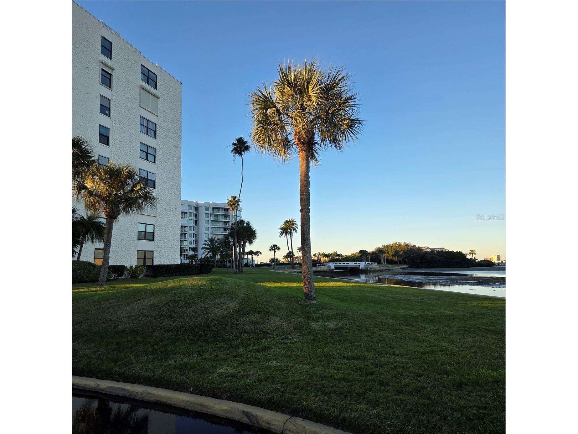 100 Oakmont Lane #305 Belleair FL 33756 TB8465762 image10