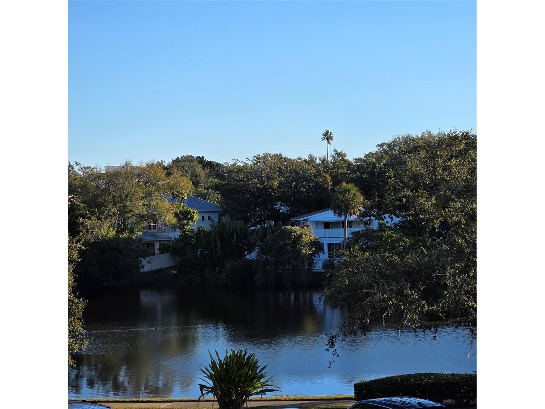 100 Oakmont Lane #305 Belleair FL 33756 TB8465762 image18