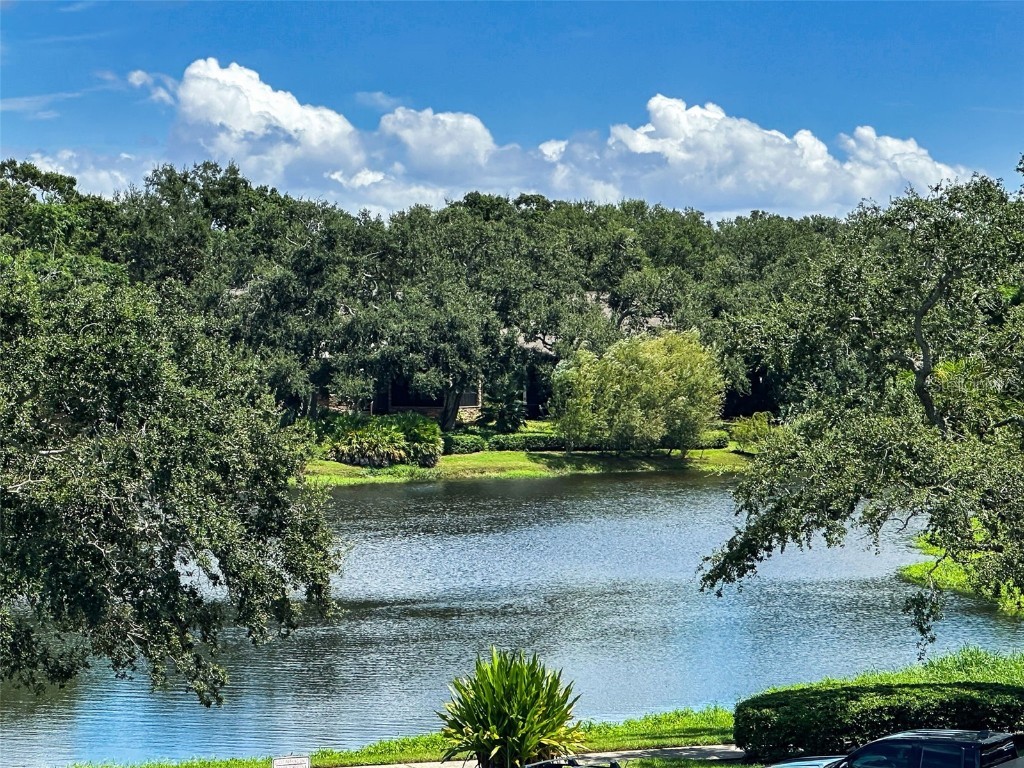 100 Oakmont Lane #307 Belleair FL 33756 - INTRACOASTAL WATERWAY TB8425137 image14