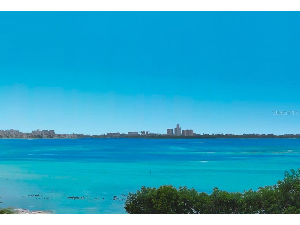 100 Oakmont Lane #309 Belleair FL 33756 TB8342471 image1