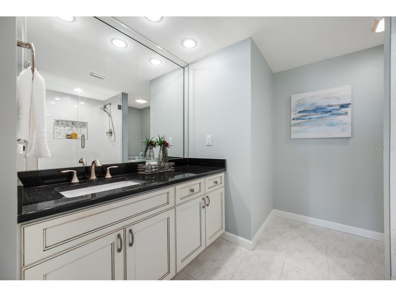 100 Oakmont Lane #402 Belleair FL 33756 TB8491904 image20