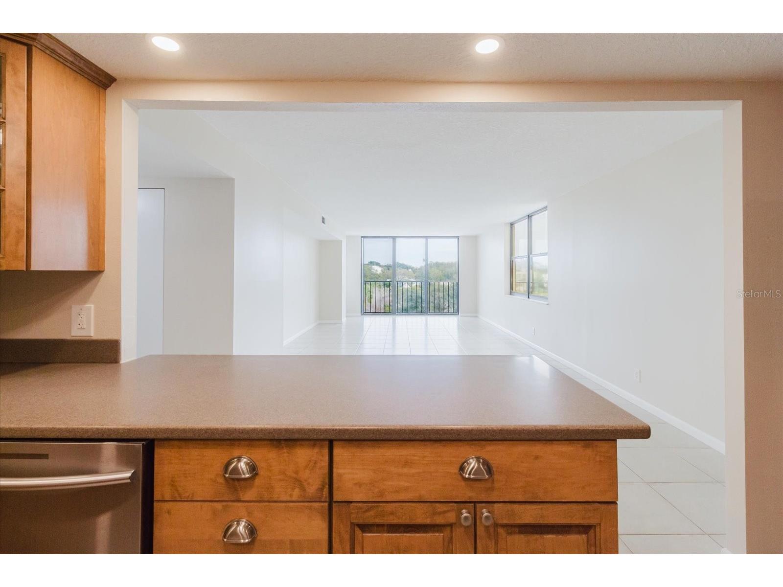 100 Oakmont Lane #507 Belleair FL 33756 TB8526684 image10